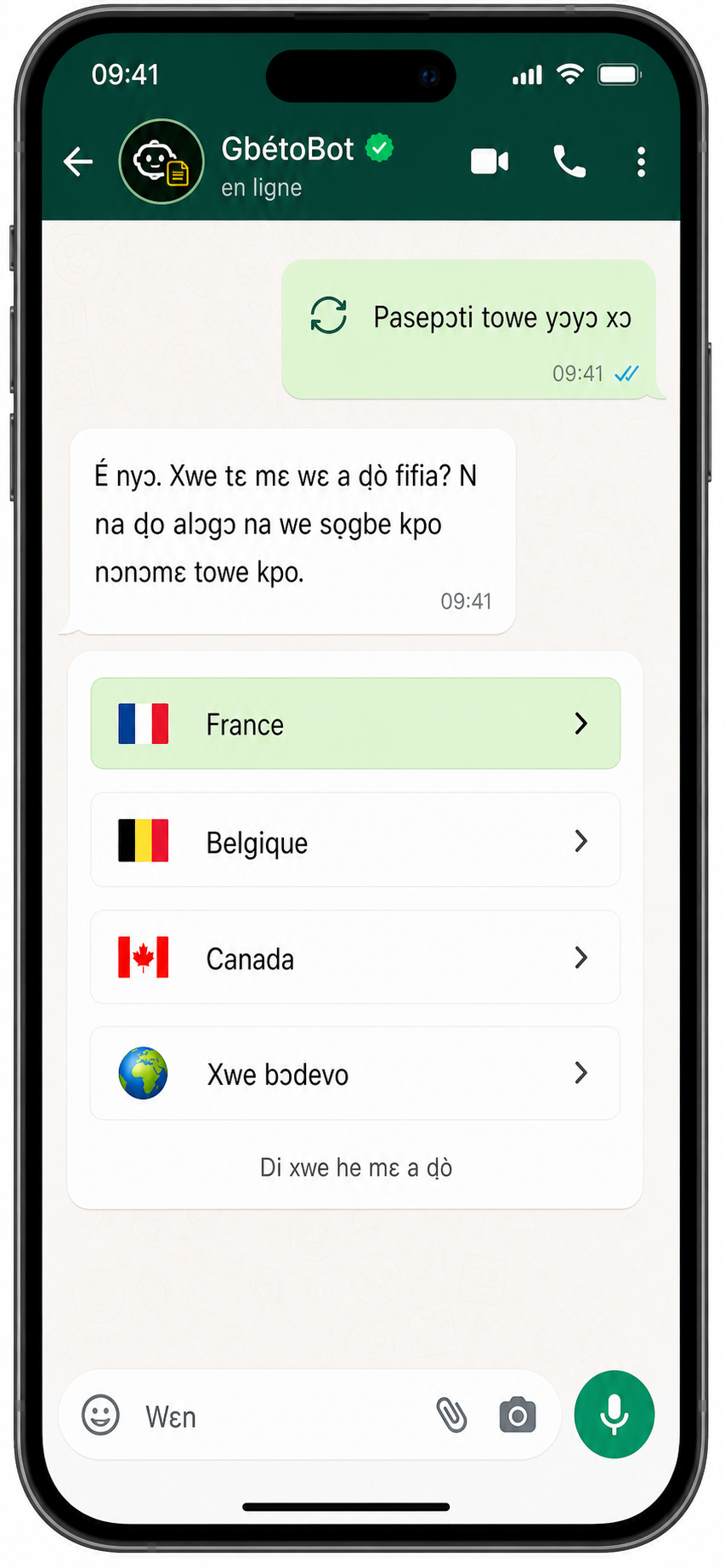 DiasporaLink Fon — sélection pays