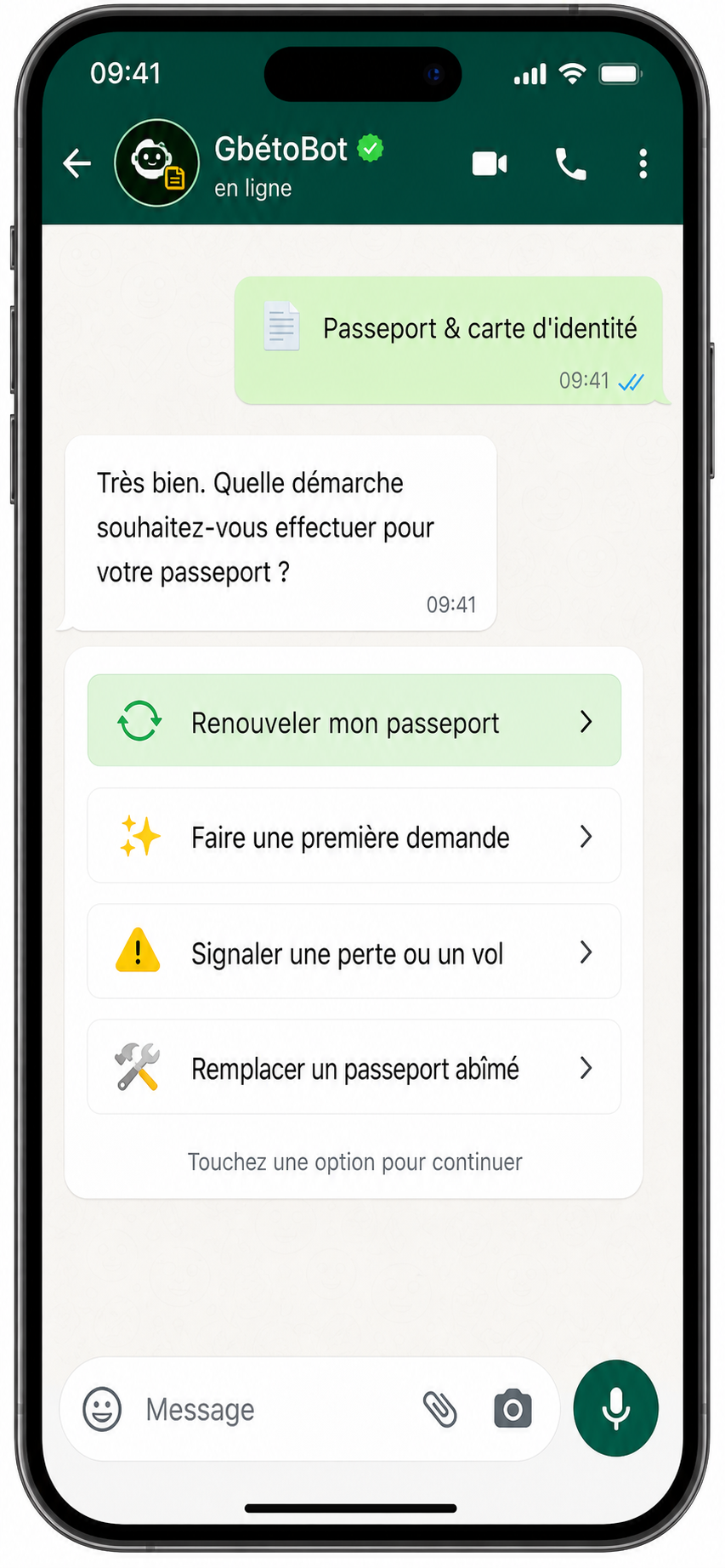 DiasporaLink FR — choix de la demande passeport